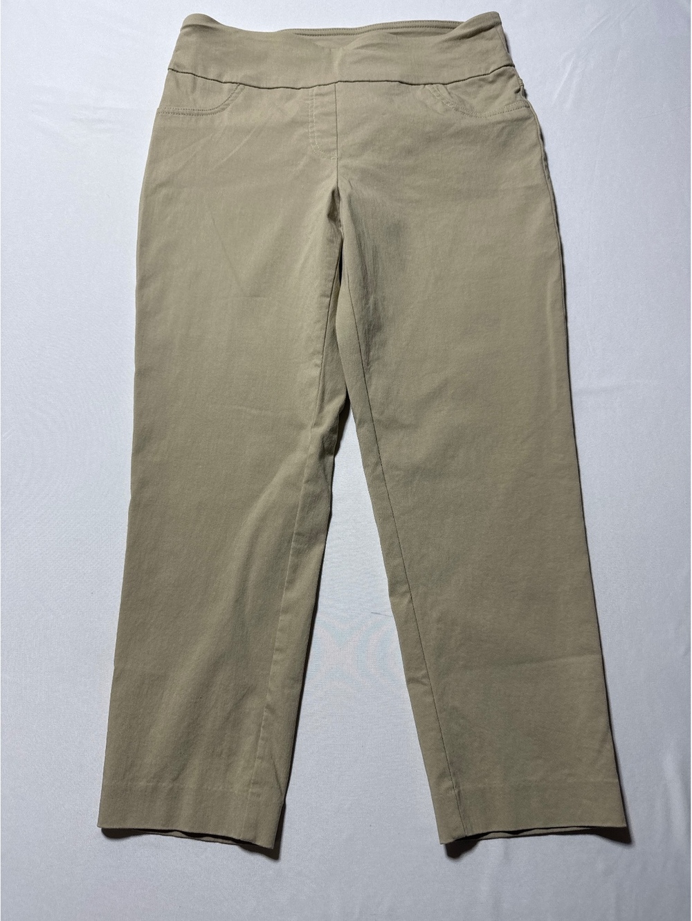 Ruby Rd. Petite Khaki Pants - Comfy Stretchy 10P Style!